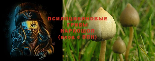 ALPHA-PVP Инсар
