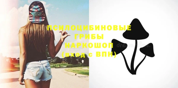 герыч Иннополис