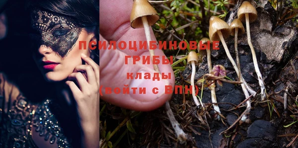 молекула духа Инта