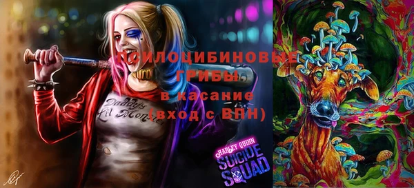 молекула духа Инта