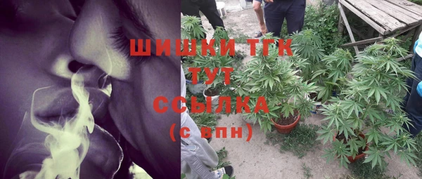 ALPHA-PVP Инсар