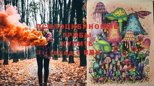 ALPHA-PVP Инсар