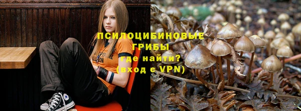 молекула духа Инта