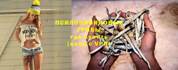 герыч Иннополис