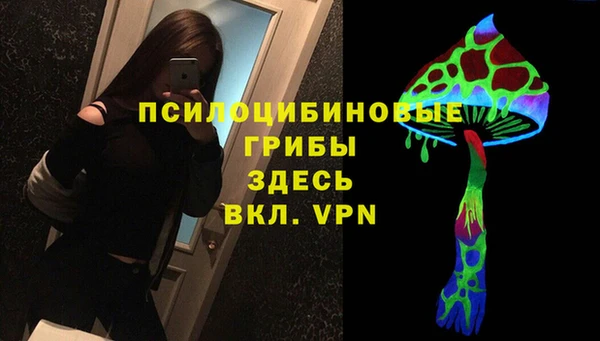 молекула духа Инта