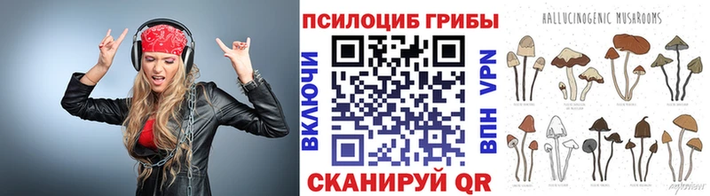 Псилоцибиновые грибы прущие грибы  Купить  Избербаш 